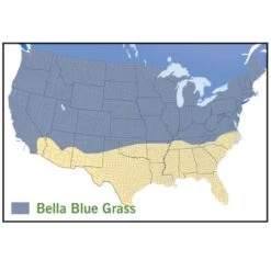 Bella™ Bluegrass Grass Plugs 7 Bella™ Bluegrass Grass Plugs -Plant Sale Store bella blue grass map